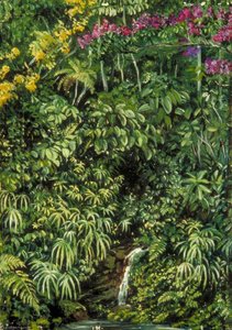 Glimpse In A Glen At Gongo, Brazil — Marianne North