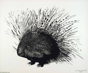 (A Bestiary, portfolio) Porcupine