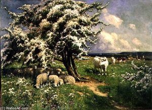 Sheep And Cattle In A Landscape