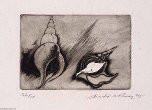 Shells, From The Portfolio, Reign Of Claws — Andre Racz