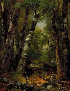 Woodland Glen, (painting) — Asher Brown Durand
