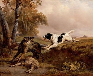 Le loup