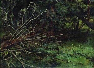 In The Fir Forest — Ivan Ivanovich Shishkin, Realism