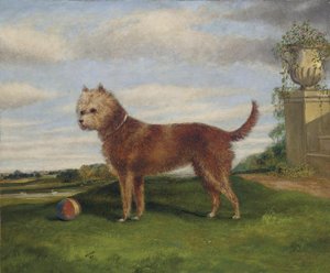 A Terrier With A Ball In An Extensive Landscape — Samuel Henry Gordon Alken