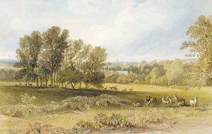 View Of Blenheim Park, Oxfordshire — John Buckler