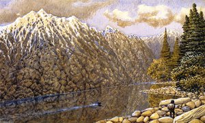 Fraser River, Loon — William George Richardson Hind