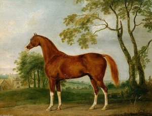Grosvenor Arabian — John Nost Sartorius