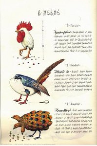 Birds From "codex Seraphinianus" — Luigi Serafini
