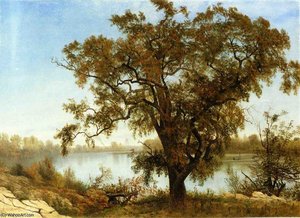 A View From Sacramento — Albert Bierstadt