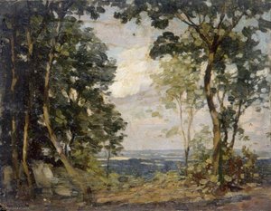 Woodland Clearing Overlooking Lower Land — Gunning King