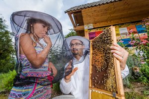 A Girl Tasting Honey At A Beekeeper — Jošt Gantar