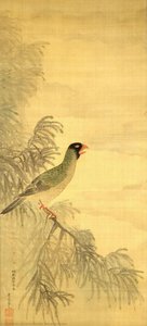 Blue-green Parakeet