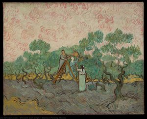 Women Picking Olives — Vincent Willem Van Gogh