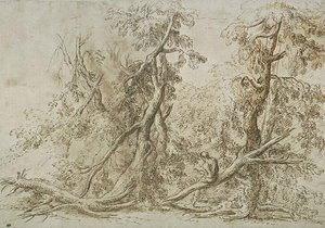 Man Holding A Book In A Timber Covered With Dead Trunks — Salvator Rosa