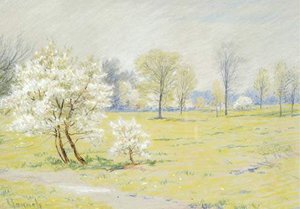Spring Landscape With Blossoms