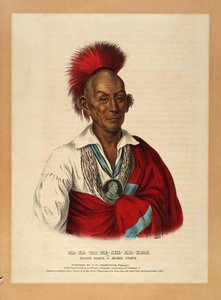 Ma-ka-tai-me-she-kia-kiah — Charles Bird King, Mannerism