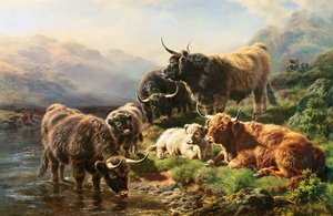 Highland Cattle — William Watson