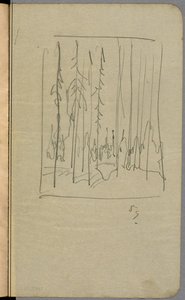 Dead Spruce — Arthur Lismer