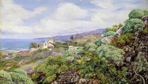 View Of Sitio Del Pardo, Orotava, Teneriffe — Marianne North