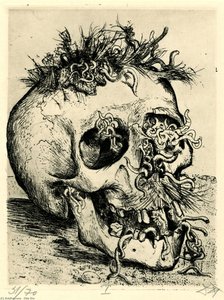 Skull — Otto Dix