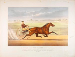 Mr. Bonner's Horse Joe Elliott