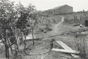 Gela, Sicily — Thomas Roma
