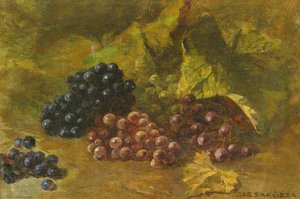 Still life with Grape