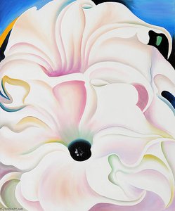 Bella Donna — Georgia O'keeffe