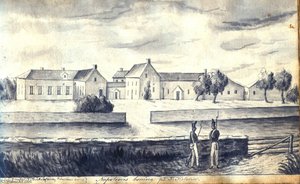 johan gustaf thun