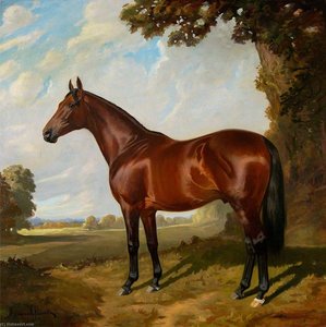 'Gainsborough'
