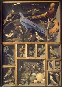 Reunion D'oiseaux Etrangers Places Dans Differentes Caisses — Alexandre Isidore Leroy De Barde