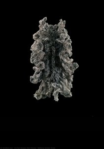 Refinery Smoke, Dress — Iris Van Herpen, Neri Oxman, Surrealism