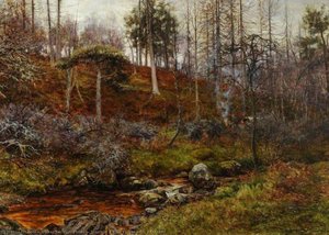 walter bertram potter