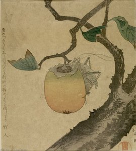 Persimmon And Cicada — Katsushika Hokusai