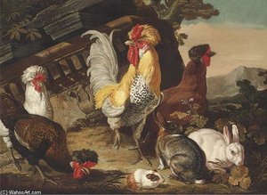 (antwerp Brussels) — David De Coninck