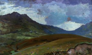 Arenig Mountain — Augustus Edwin John
