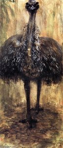 Cassowary — Adolph Von Menzel