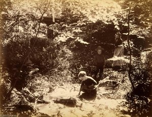 Scene in Fairy Dell, from the album Views of Charlestown, New Hampshire