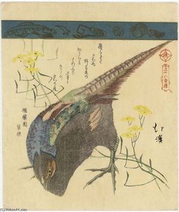 Pheasant With Yellow Flowers — Toyota Hokkei