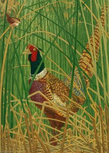 Among The Tule — Janet E Turner
