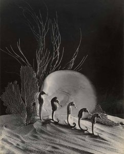 Ocean Ballet — Grace M Ballentine