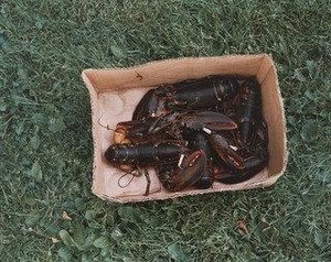 Castine, Maine — Stephen Shore