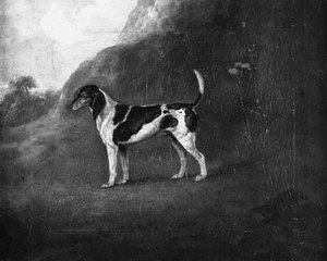 A Foxhound In A Mountainous Landscape — John Nost Sartorius