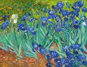 Irises [1889]