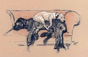 Pastel Drawing — Cecil Charles Aldin
