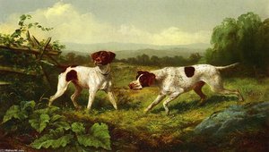 On A Point — Arthur Fitzwilliam Tait