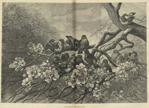 Published In (1883.) — Fortune Louis Meaulle