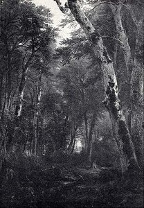 Woodland Interior, (painting) — Asher Brown Durand