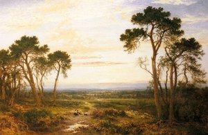 Across The Heath — R.a Benjamin Williams Leader