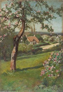 Cottage In Fields